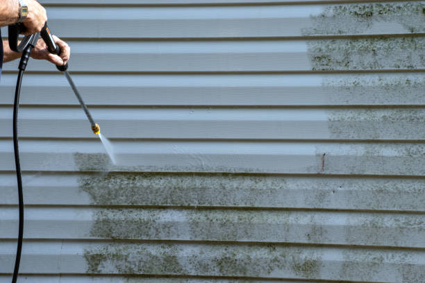 Best Custom Trim and Detailing for Siding  in Madisonville, LA