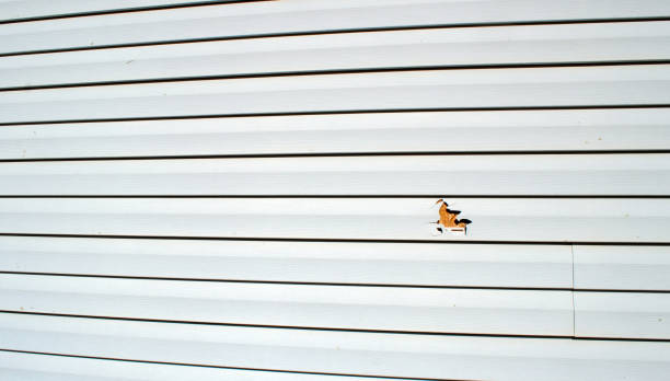 Best Siding Painting and Refinishing  in Madisonville, LA