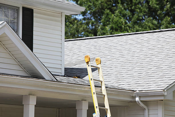 Best Stucco Siding  in Madisonville, LA
