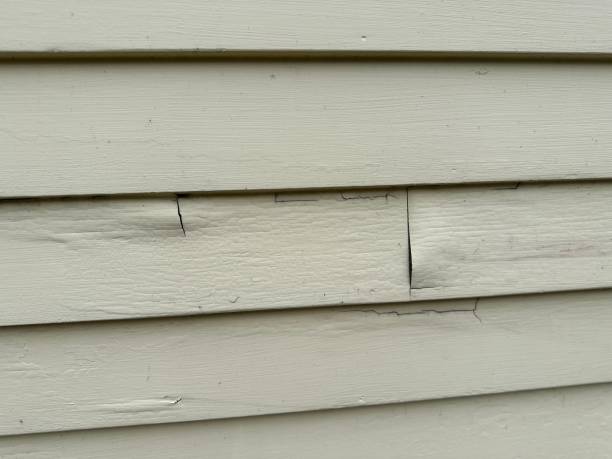 Trusted Madisonville, LA Siding Installation & Repair Experts